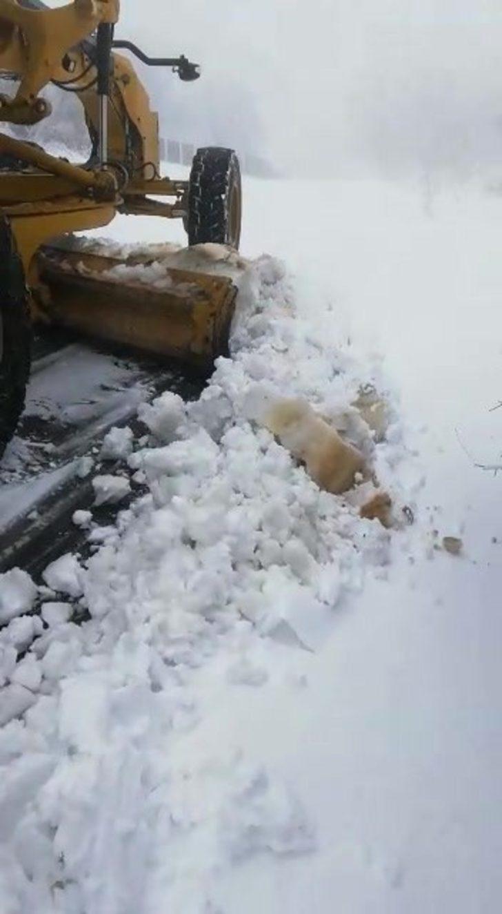 Gercüş’te kar yağışı hayatı durma noktasına getirdi G5