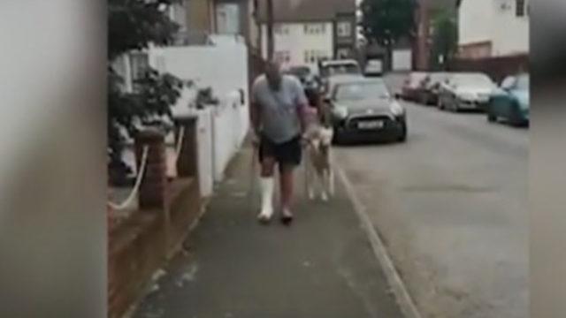 Değnekle yürüyen sahibine arkadaşlık eden köpeğin görüntüsü viral oldu