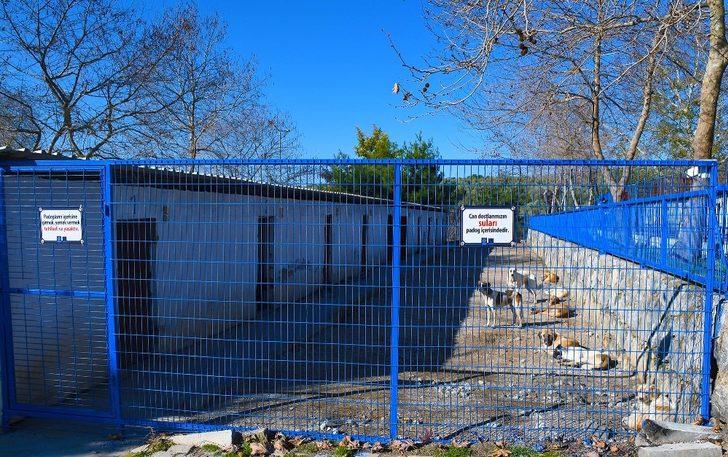 Kuşadası Hayvan Bakım ve Rehabilitasyon Merkezi yenileniyor G2