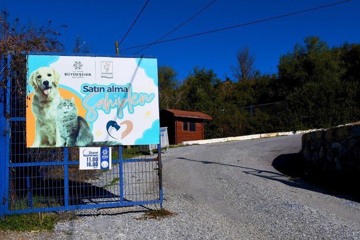 Kuşadası Hayvan Bakım ve Rehabilitasyon Merkezi yenileniyor G5