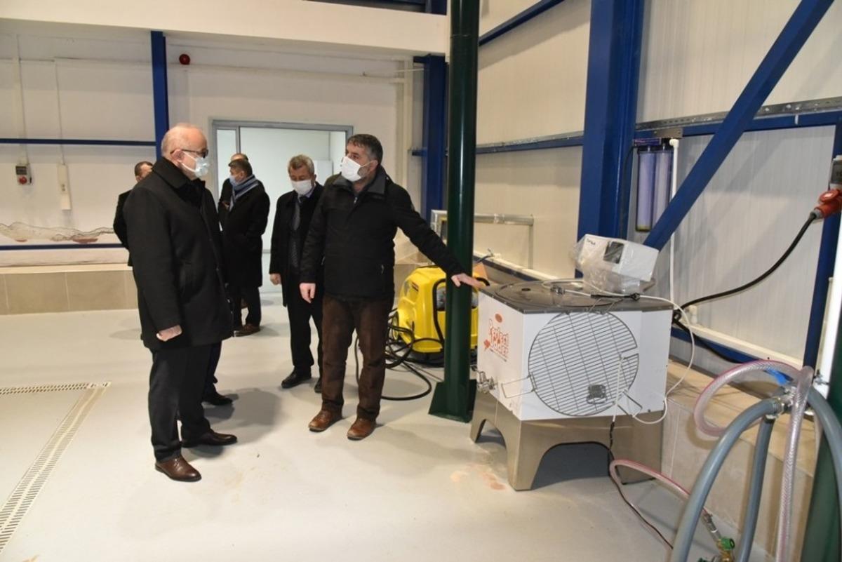 Buzağı &ouml;l&uuml;mlerinin &ouml;n&uuml;ne ge&ccedil;ecek tesis