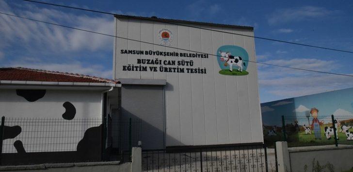 Buzağı ölümlerinin önüne geçecek tesis G4