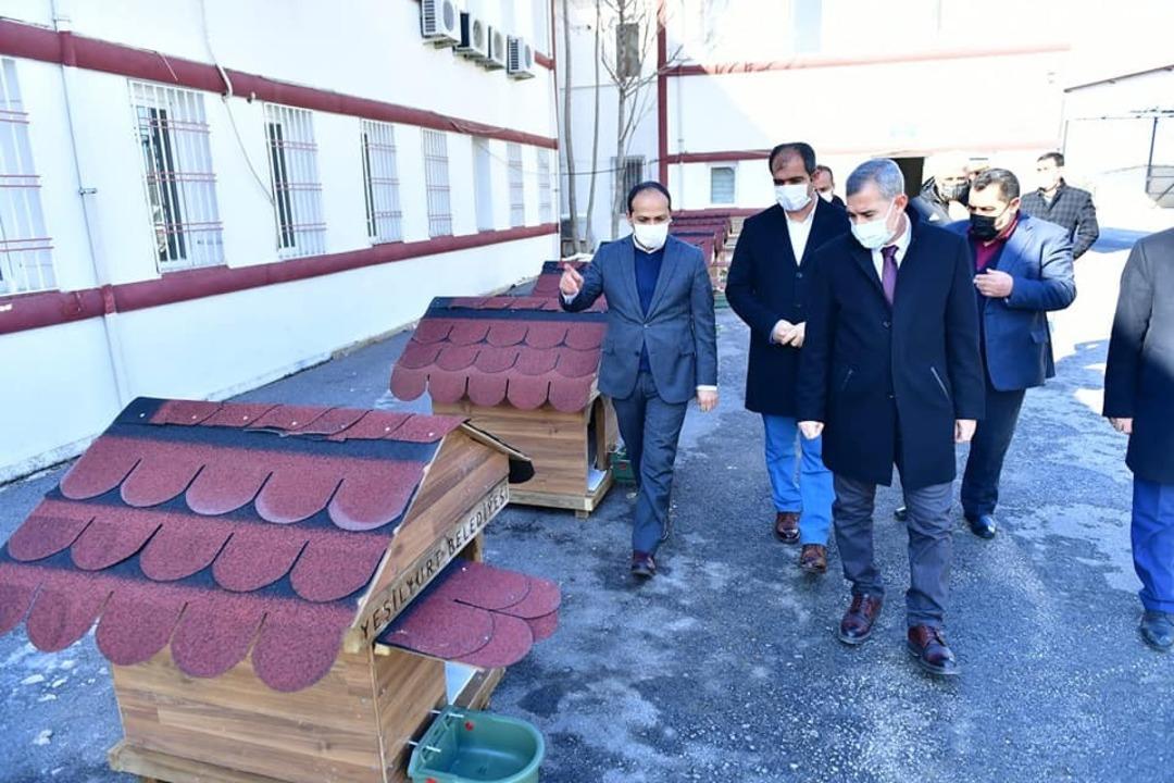 Yeşilyurt&rsquo;ta sokak hayvanları i&ccedil;in &ouml;rnek proje