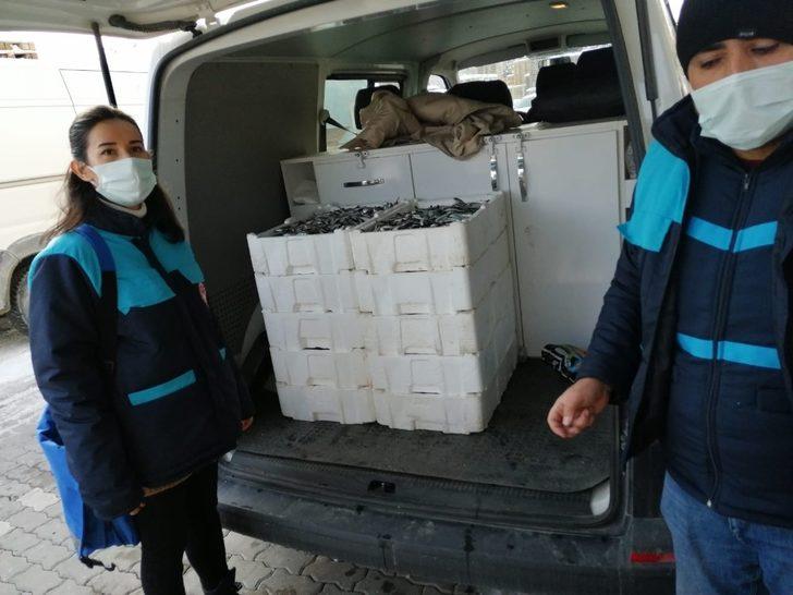 Bozüyük’te balık satıcılarına yönelik denetim yapıldı G2