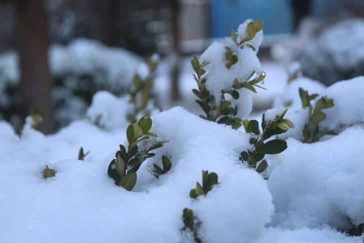 Van’da kar yağışı kartpostallık görüntüler oluşturdu G3