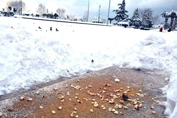 Kdz. Ereğli Belediyesi 75 noktada besleme çalışması yaptı G1