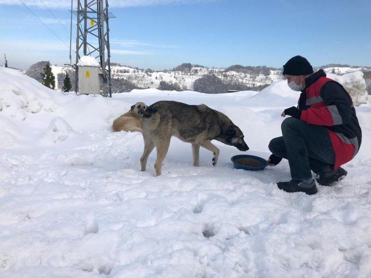 Kdz. Ereğli Belediyesi 75 noktada besleme çalışması yaptı G2