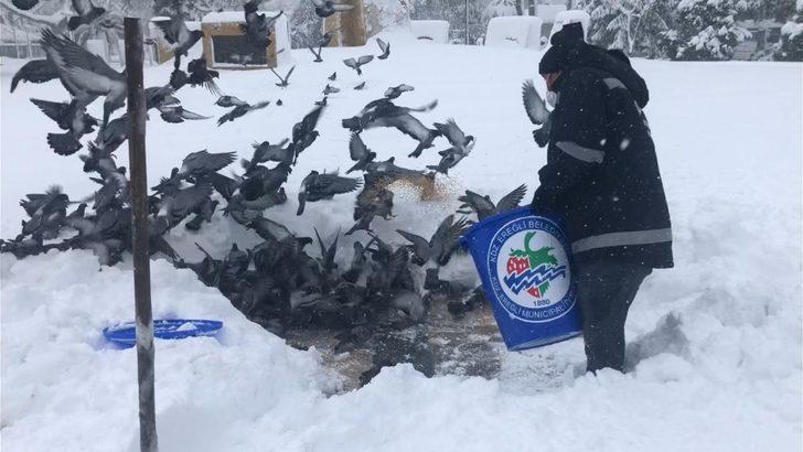 Kdz. Ereğli Belediyesi 75 noktada besleme çalışması yaptı G3