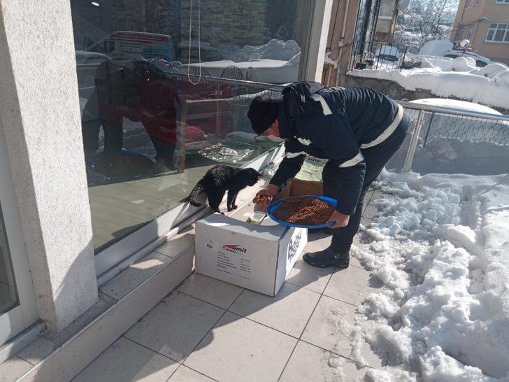 Kdz. Ereğli Belediyesi 75 noktada besleme çalışması yaptı G4