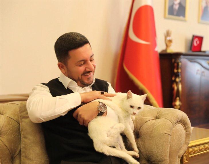 Nevşehir Belediye Başkanı Rasim Arı'nın sahiplendiği kediye belediyede bakılacak G1