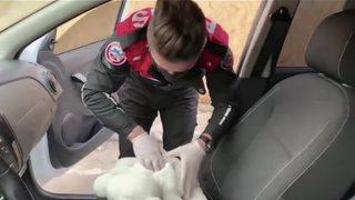 Ataşehir'de ruhsatsız silaha oyuncak ayı kamuflajı