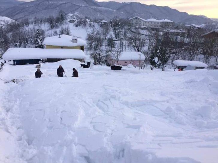Yoğun kardan ahır çöktü, 7 hayvan telef oldu G2