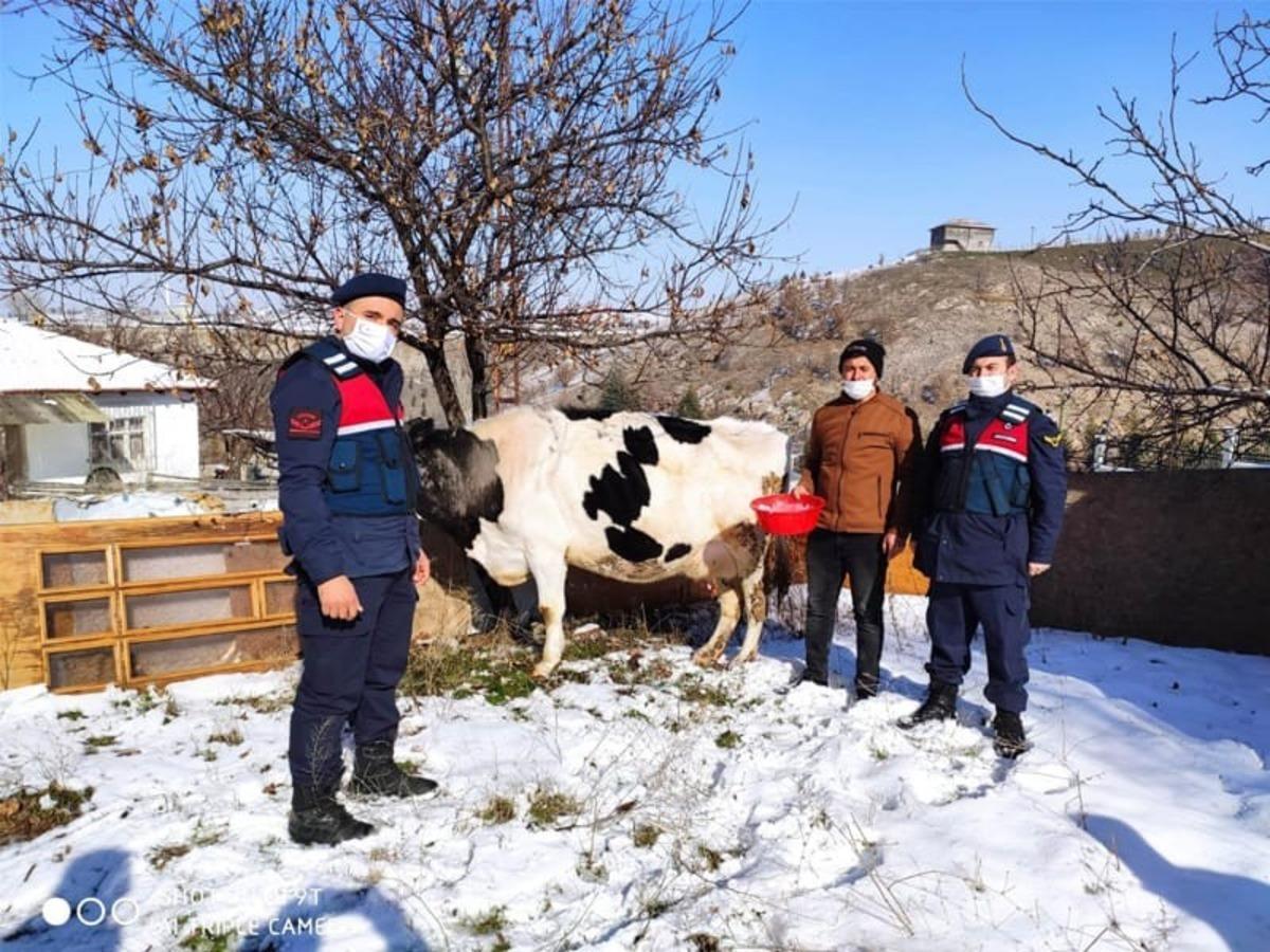 Hayvan hırsızlığı yaptıkları iddiasıyla 2 ş&uuml;pheli yakalandı