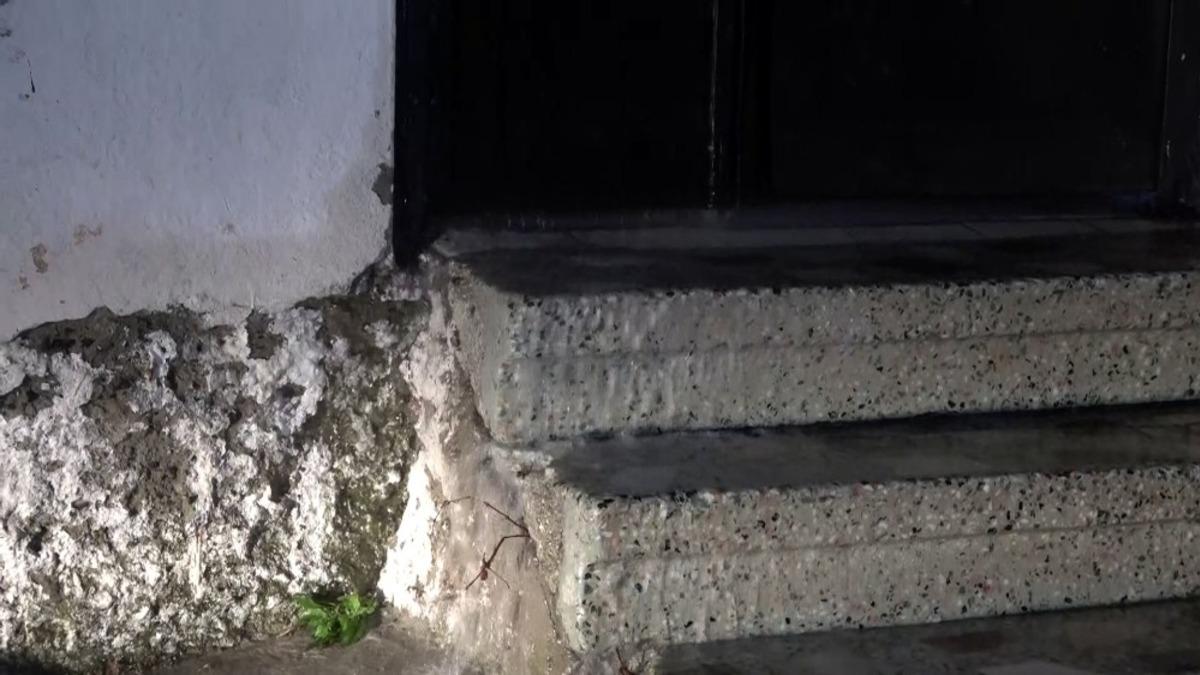 Metruk binada su boruları patladı, apartman suyla doldu taştı