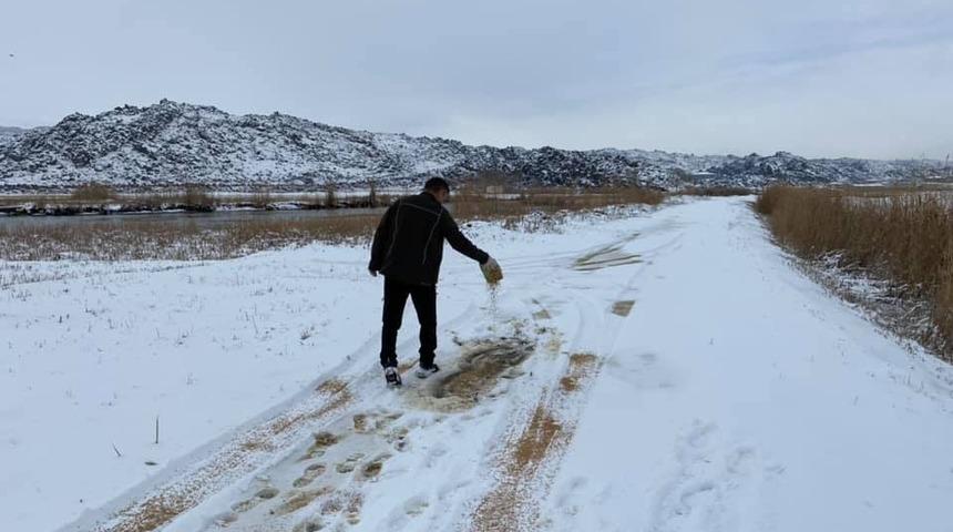 Iğdır&rsquo;da kar yağışı ve aşırı soğuktan dolayı yaban hayvanları i&ccedil;in yem bırakıldı