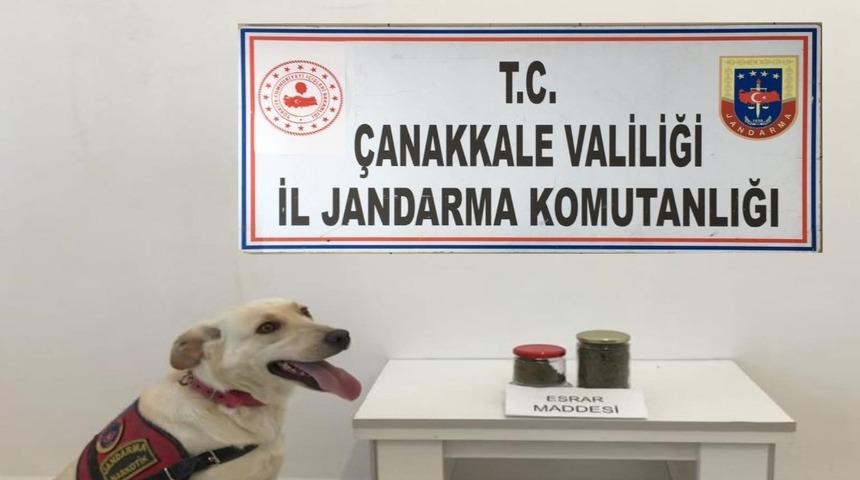Valizinde taşıdığı uyuşturucuyla yakalandı