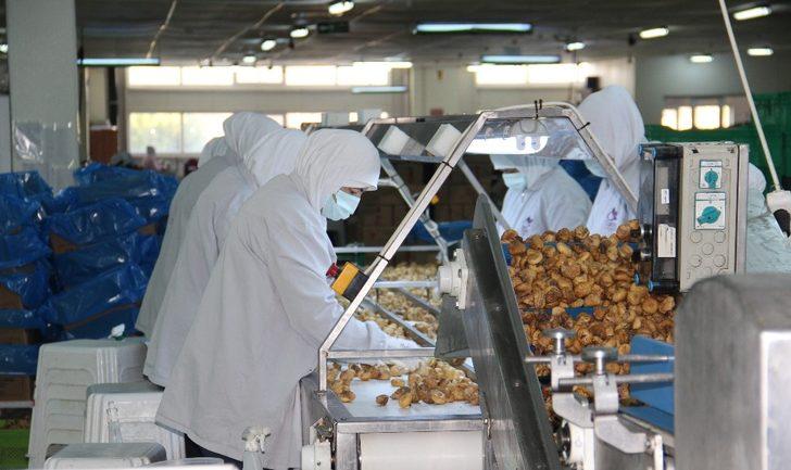 Türkiye 2 yılda 472 milyon dolarlık kuru incir ihraç etti G2