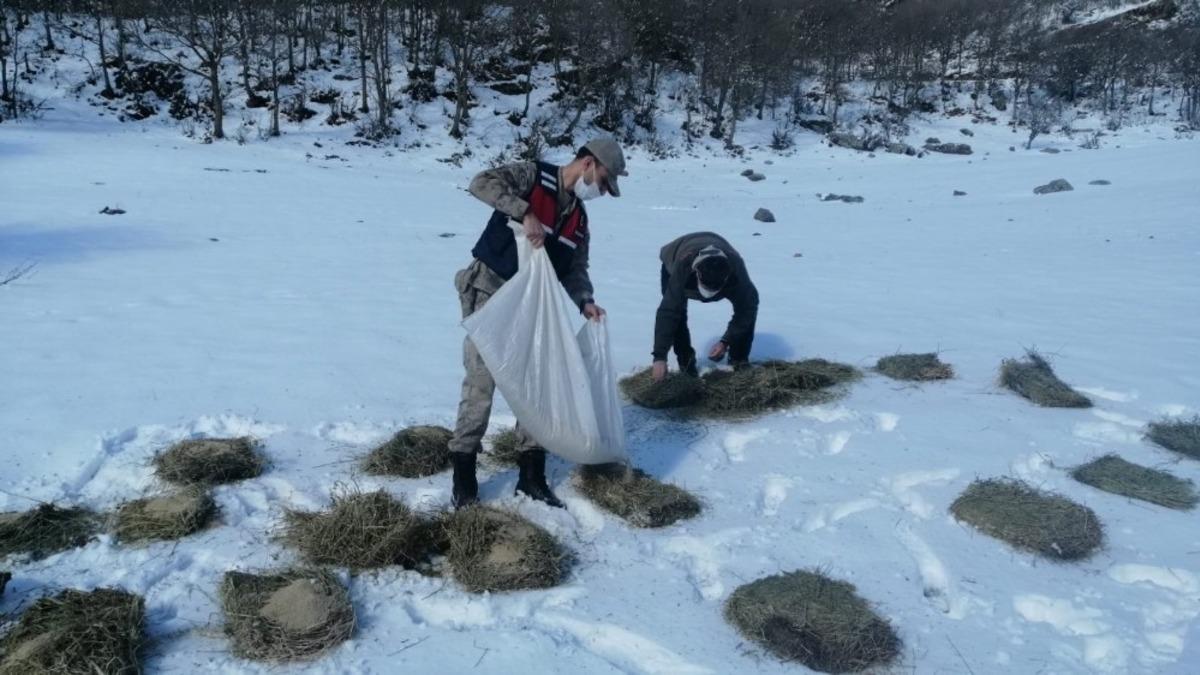 Ter&ouml;ristleri kovaladıkları dağlarda hayvanları unutmadılar