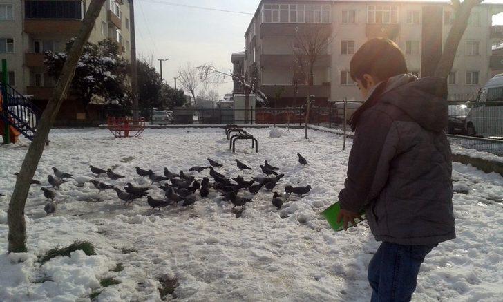 Karlı havada sokak hayvanlarını minik elleriyle beslediler G2