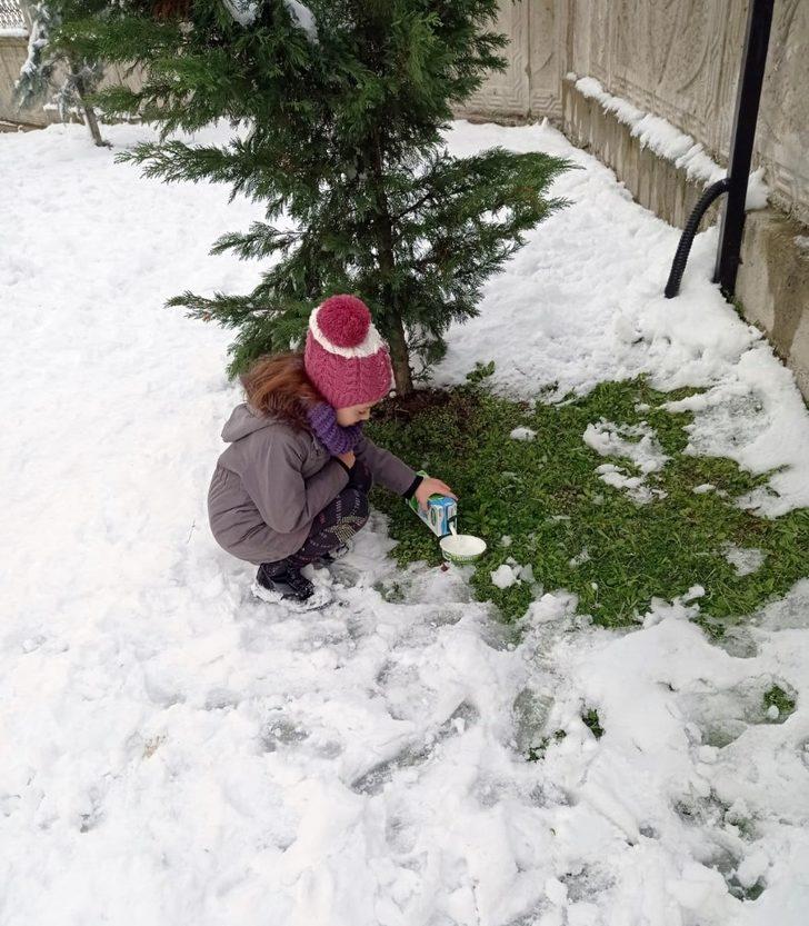 Karlı havada sokak hayvanlarını minik elleriyle beslediler G3