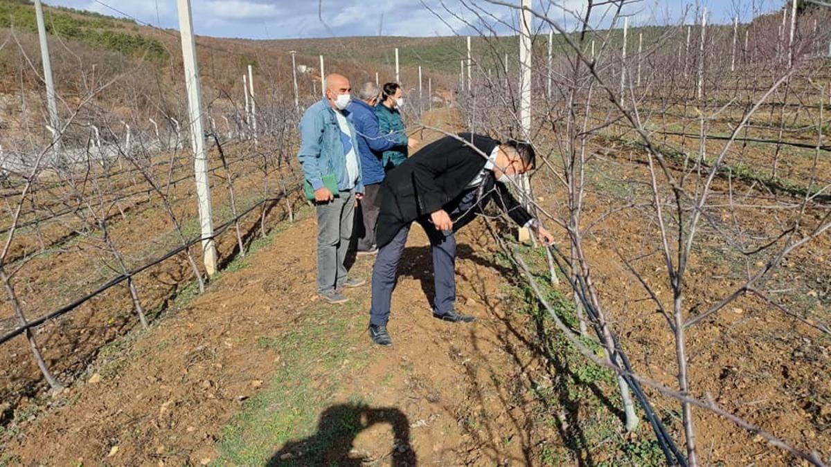 Bilecik İl Tarım ve Orman M&uuml;d&uuml;rl&uuml;ğ&uuml;&rsquo;n&uuml;n haftalık &ccedil;alışmaları