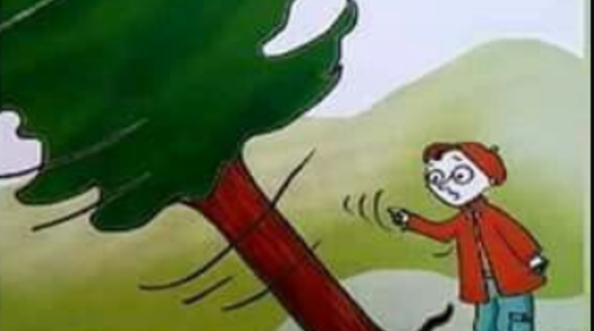 Deyimlerin ortaya çıkış hikayesini hiç merak ettiniz mi? ‘Çam devirmek’ deyiminin gerçek hikayesi!