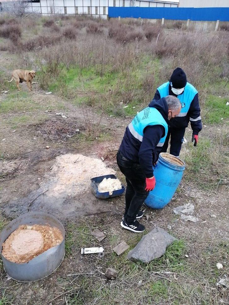Yunusemre Belediyesi soğuk kış günlerinde sokak hayvanlarını unutmadı G4