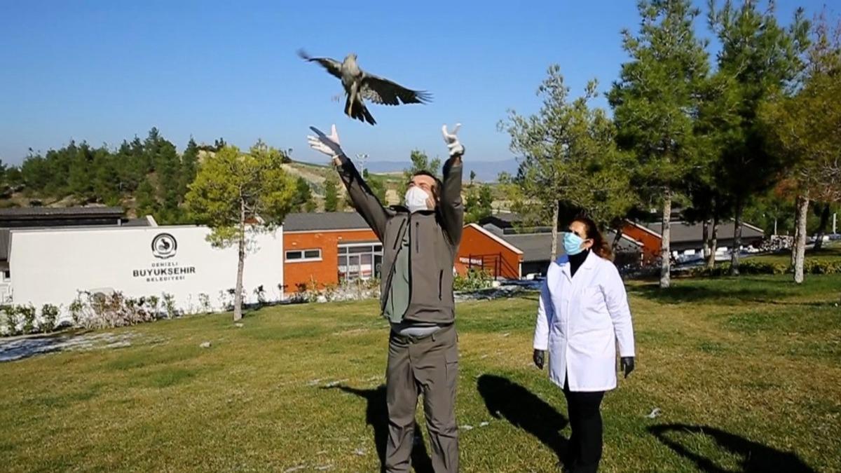 Yaralı atmaca tedavisinin ardından &ouml;zg&uuml;rl&uuml;ğe kanat &ccedil;ırptı