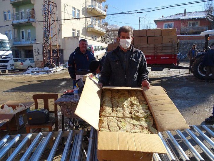Hisarcık’ta tütün alımlarına başlandı G1