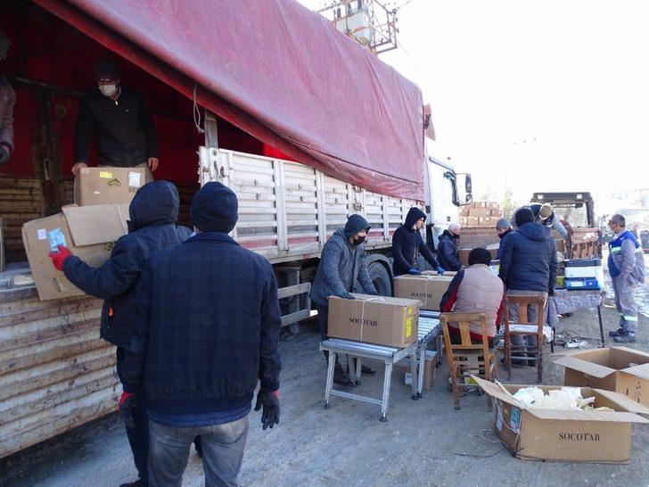 Hisarcık’ta tütün alımlarına başlandı G3