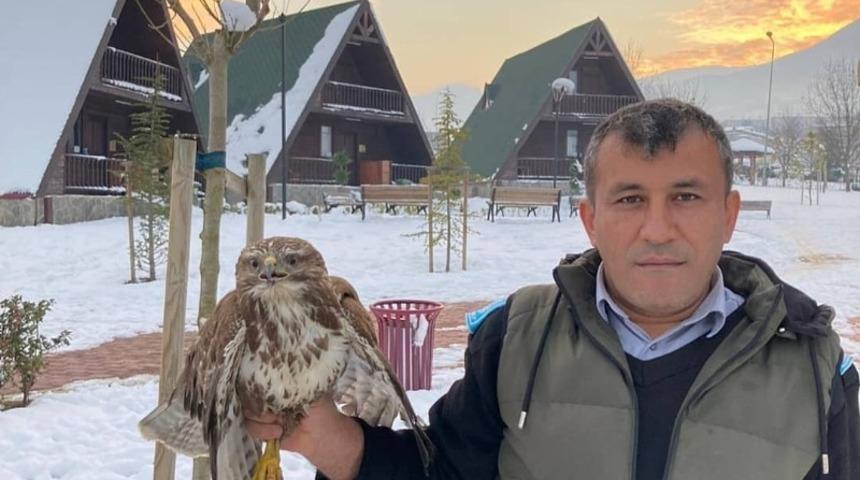 Yaralı şahine belediye sahip &ccedil;ıktı