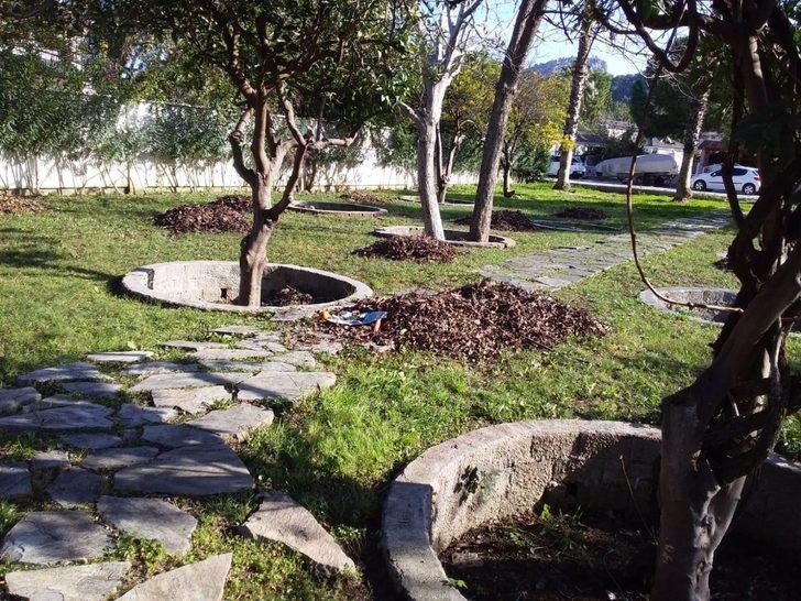 Kemer Belediyesi ilçeyi yeşile boyuyor G1