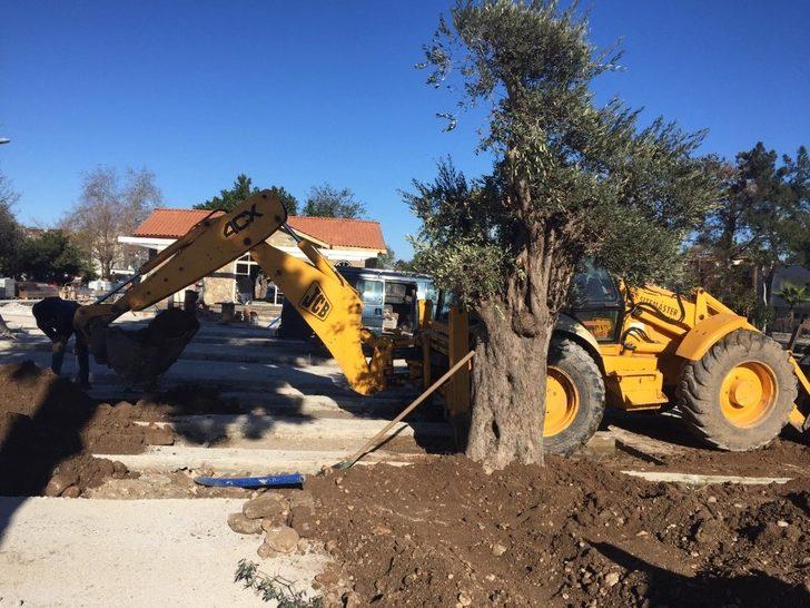 Kemer Belediyesi ilçeyi yeşile boyuyor G3