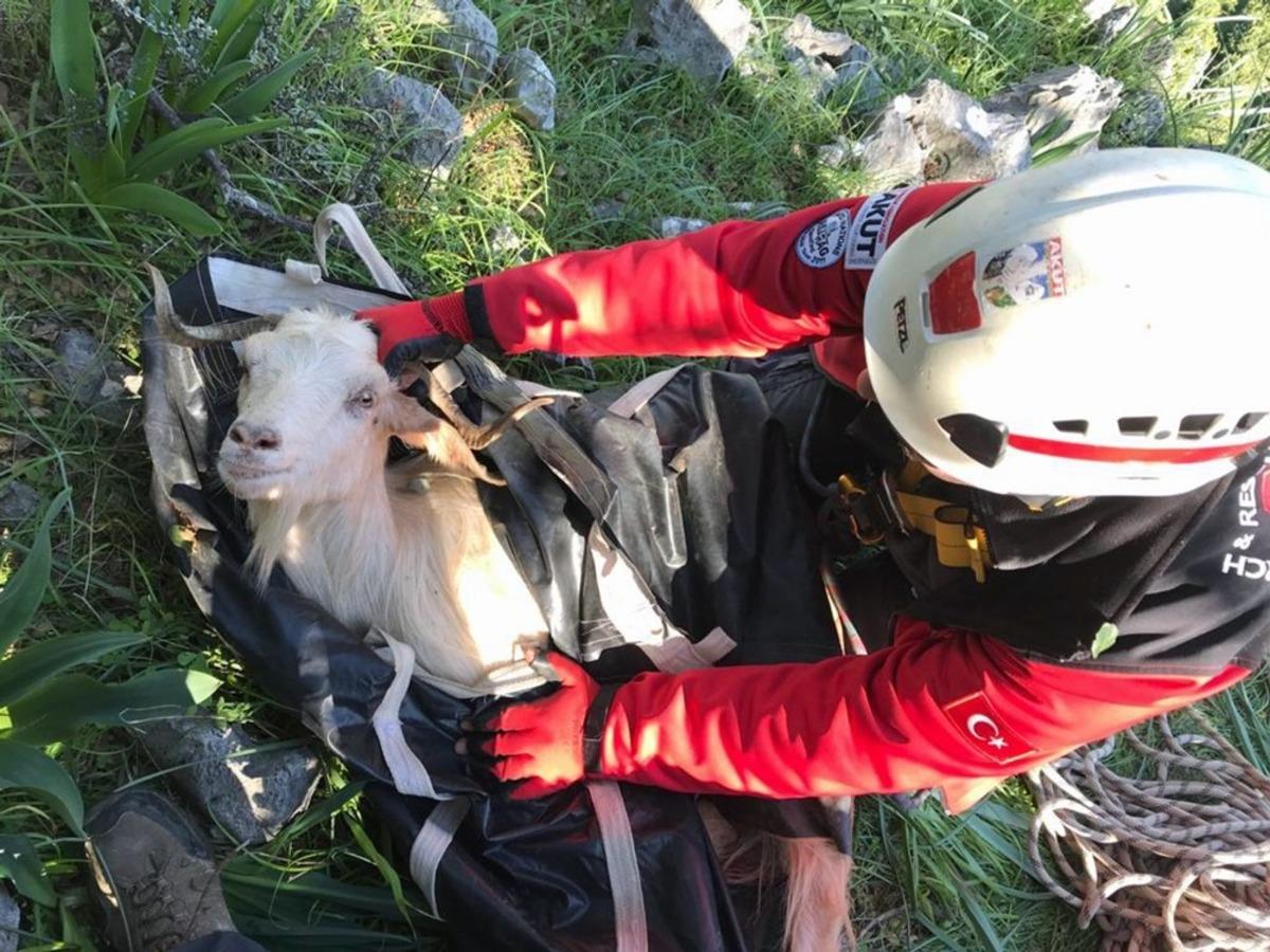 Marmaris AKUT ekibinden ke&ccedil;i kurtarma operasyonu