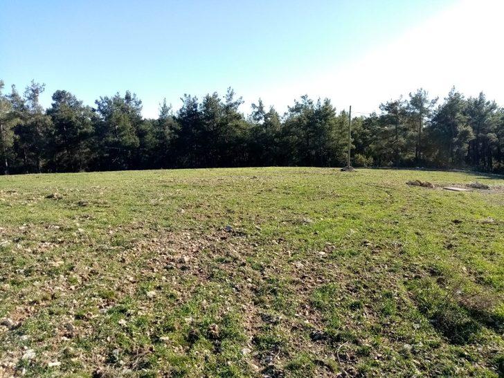 Gündoğmuş’ta çiftçiye dağıtılan ata tohumları çimlendi G2