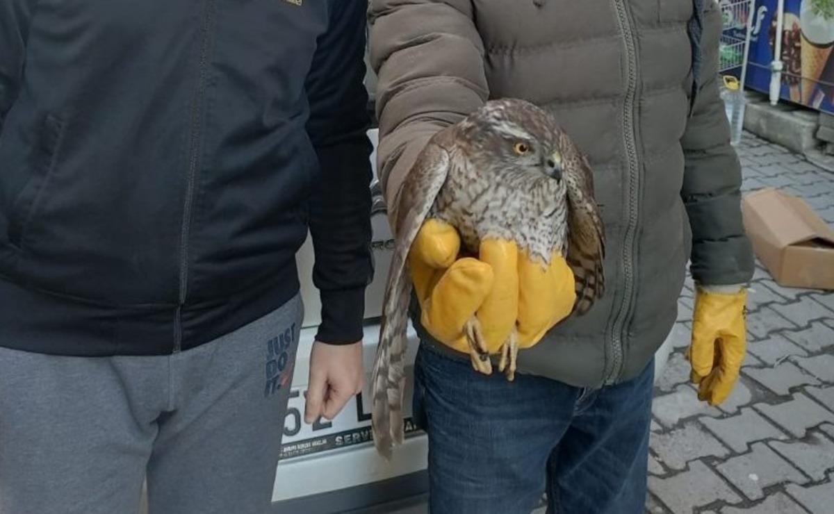 &Ccedil;ocukların duyarlılığı hayat kurtardı