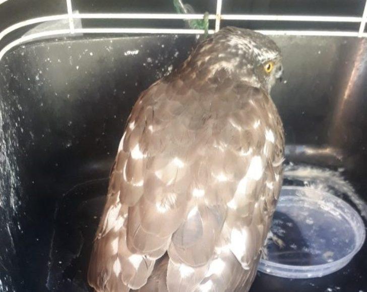 Çocukların duyarlılığı hayat kurtardı G2