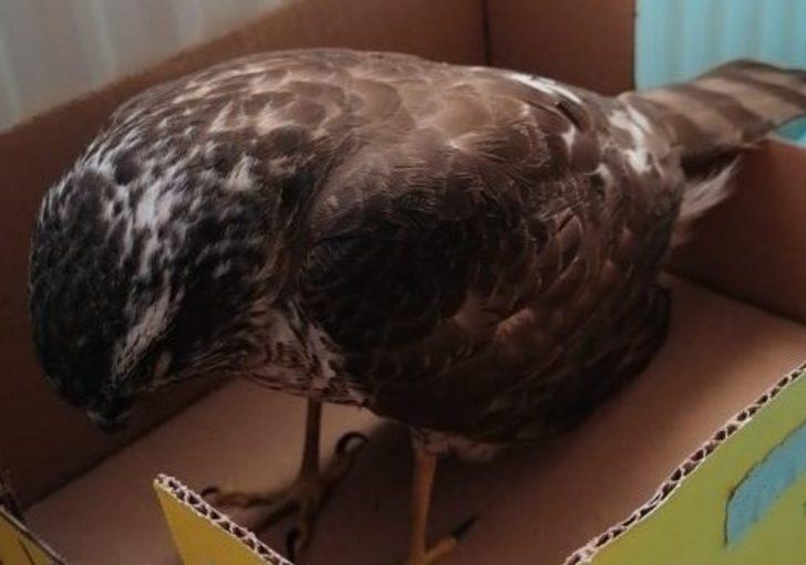 Çocukların duyarlılığı hayat kurtardı G3