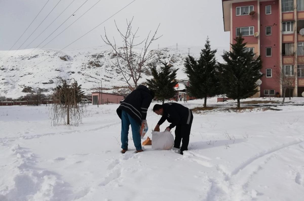Adilcevaz Belediyesi doğaya yiyecek bıraktı