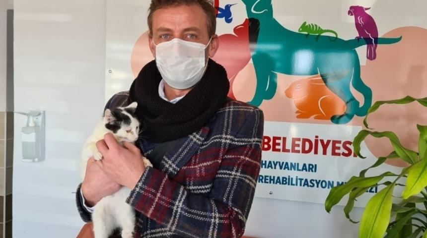 K&ouml;rfez&rsquo;de tedavi edilen hayvanlar, yeni yuvalarına kavuşuyor