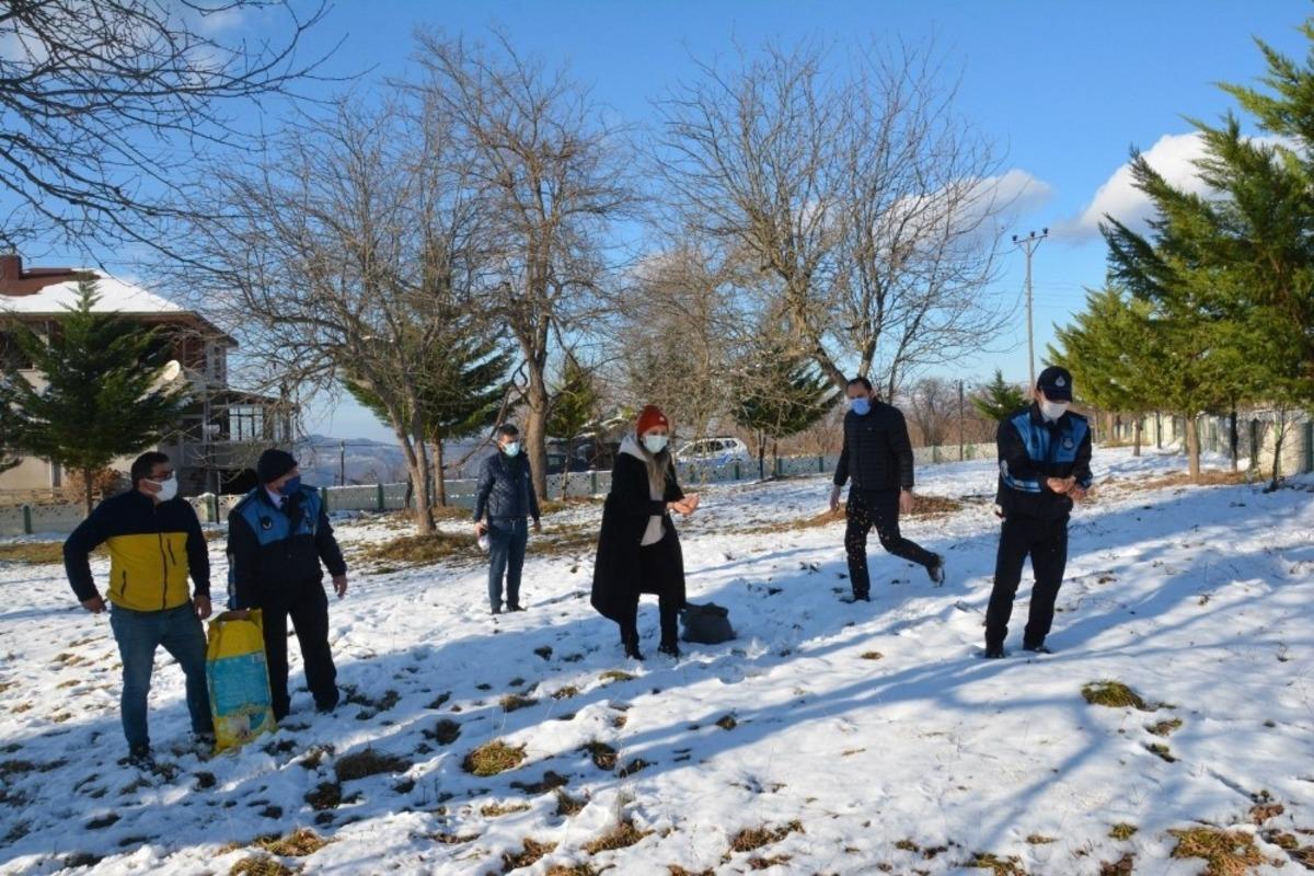 Fatsa Belediyesi doğaya kuşlar i&ccedil;in yem, sokak hayvanları i&ccedil;in mama bıraktı