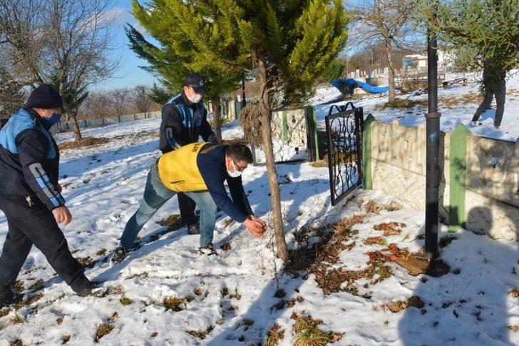 Fatsa Belediyesi doğaya kuşlar için yem, sokak hayvanları için mama bıraktı G2