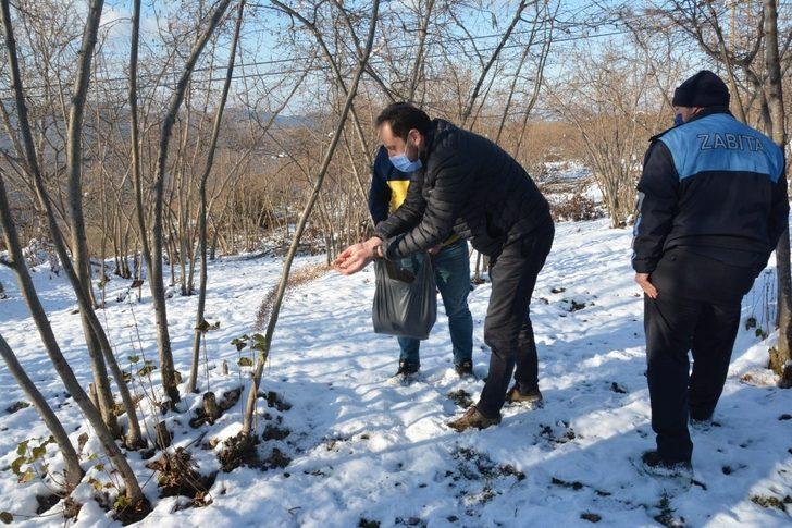 Fatsa Belediyesi doğaya kuşlar için yem, sokak hayvanları için mama bıraktı G3