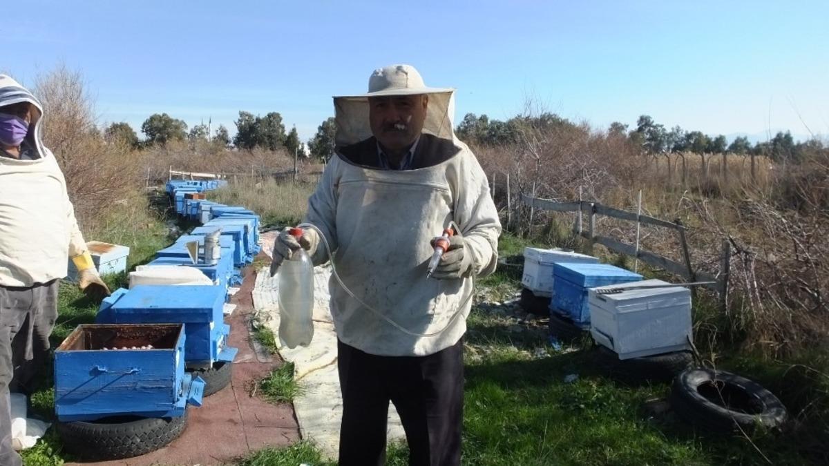 Burhaniye&rsquo;de arı kovanlarında varroa m&uuml;cadelesi başlatıldı