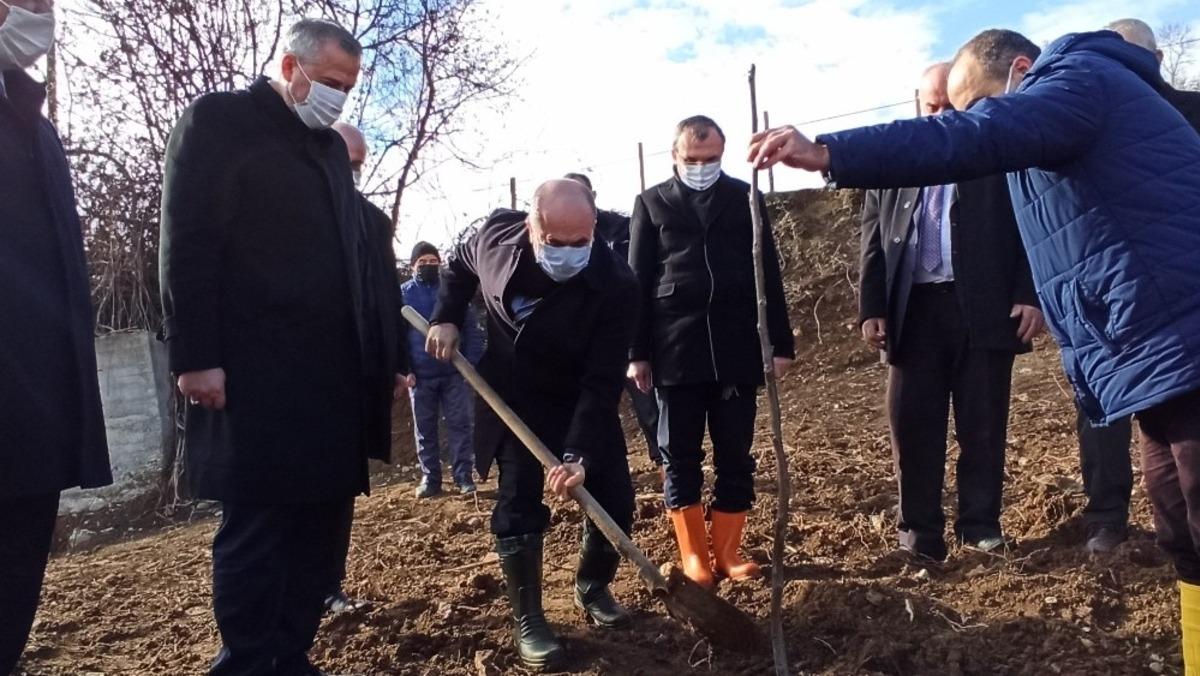 Vali Dağlı Bafra&rsquo;da incelemelerde bulundu