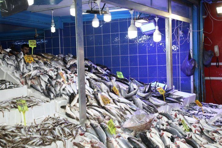 Balıkçılara ‘mor ışık’ hilesi denetimi G2