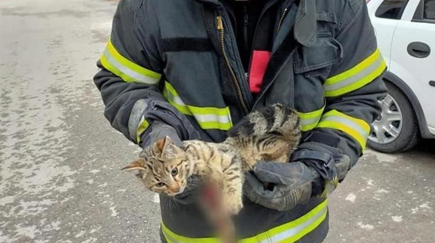 Yaralı kediye belediye şefkat eli uzattı