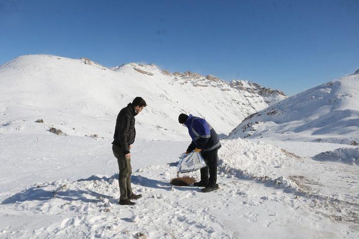 Yahyalı Belediyesi’nden yaban hayatına yem desteği G1