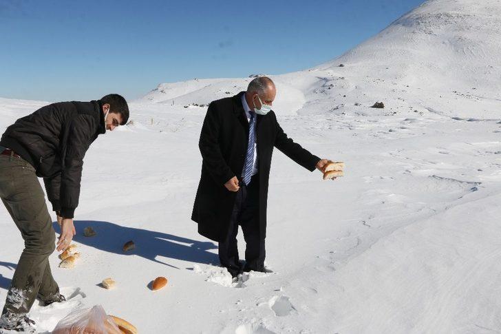 Yahyalı Belediyesi’nden yaban hayatına yem desteği G2