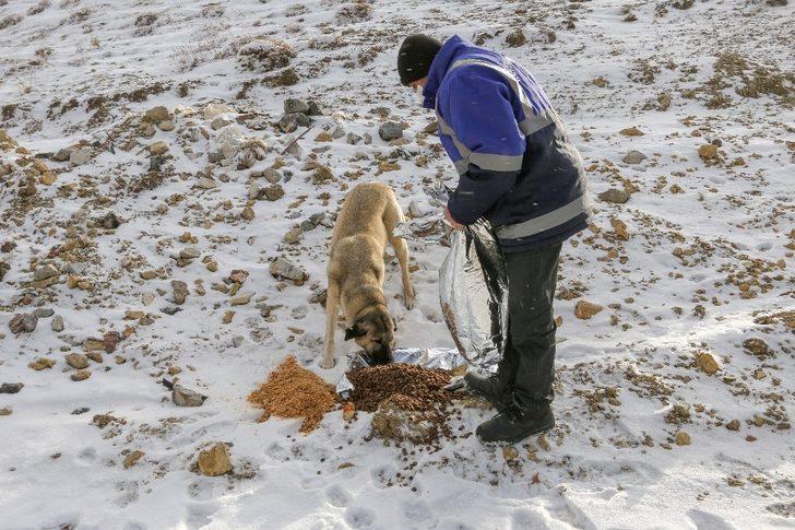 Yahyalı Belediyesi’nden yaban hayatına yem desteği G3